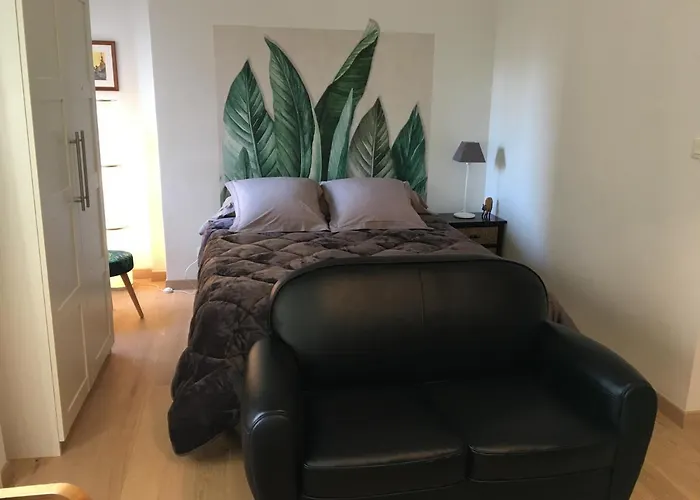 Joli Et Agreable Studio